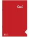 Bilježnica Keskin Color - Cool, A5, 40 listova, široke linije, asortiman - 4t