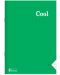 Bilježnica Keskin Color - Cool, A4, 100 listova, široke linije, asortiman - 2t