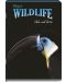 Školska bilježnica Black&White - Wildlife, A4, 60 listova, široki redovi, asortiman - 3t