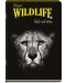 Školska bilježnica Black&White - Wildlife, A4, 60 listova, široki redovi, asortiman - 2t