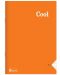 Bilježnica Keskin Color - Cool, A4, 100 listova, široke linije, asortiman - 1t