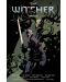 The Witcher: Omnibus - 1t