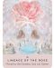 The Rose Pocket Oracle (A 44-Card Deck and Guidebook) - 5t