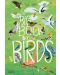 The Big Book of Birds - 1t