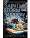 The Saints of Storm and Sorrow - 1t