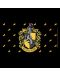 Toaletna torbica ABYstyle Movies: Harry Potter - Hufflepuff - 2t