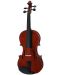 Violina Soundsation - VSVI-12 Virtuoso Student, Cherry Brown - 1t
