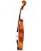 Violina Soundsation - PVI-18 Virtuoso Primo, smeđa - 3t