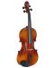 Violina Stagg - VN-4/4 L, smeđa - 1t