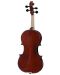 Violina Soundsation - VSVI-12 Virtuoso Student, Cherry Brown - 2t
