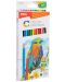 Olovke u boji Deli Color Emotion - EC00200, 12 boja - 1t
