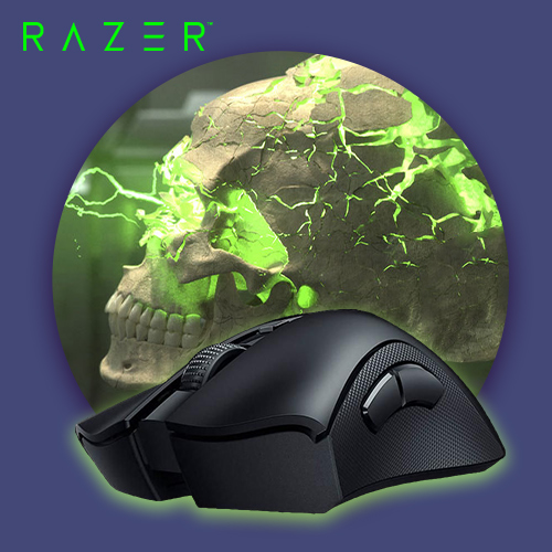 Razer DeathAdderV2 Pro + Mouse Dock